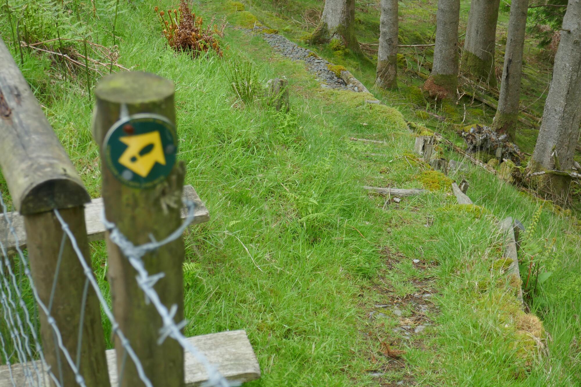 RachelSeabrook.net | Wild Walking | Devils-Bridge; pic40
